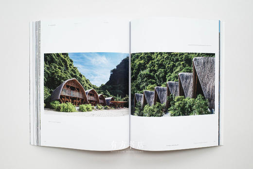 英国原版 | 越南建筑师武重义作品集：建造自然 绿色/竹子（一套两册） 商品图5