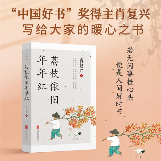 荔枝依旧年年红丨“中国好书”奖得主肖复兴治愈之作，庸常琐碎的日子，也可以过出优雅来 商品图0