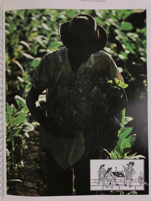 哥伦布与大发现时代 数百幅插图 精装16开 商品图10