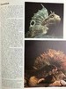 海洋生物图解百科全书 数百幅插图 精装大16开 商品缩略图13