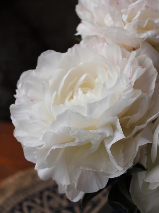 【预售！4.20起陆续发出】母爱芍药 【岁月从不败美人】 简小姐精选新品芍药-母爱 2件包邮 顺丰空运直发 商品图8