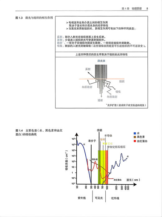 激光与光皮肤病治疗实用图谱 李文志 译 临床医师皮肤激光治疗教科书 皮肤疾病美容激光治疗图谱 北京大学医学出版社9787565927492 商品图3