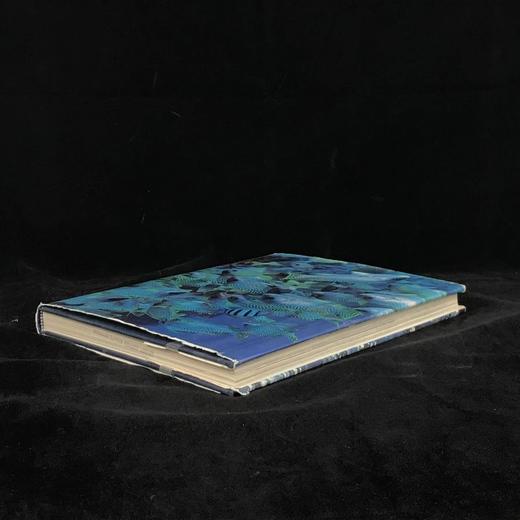 海洋生物图解百科全书 数百幅插图 精装大16开 商品图2