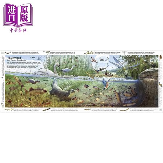 【中商原版】Habitats of the World DK世界栖息地 英文原版 进口图书 儿童科普绘本 自然百科知识图书 商品图3