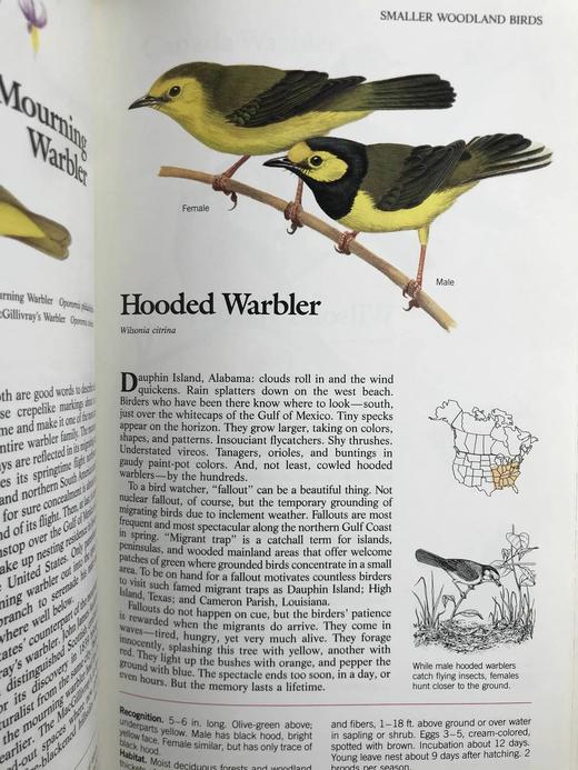 北美鸟类图鉴 数百幅彩色插图 精装16开 商品图8