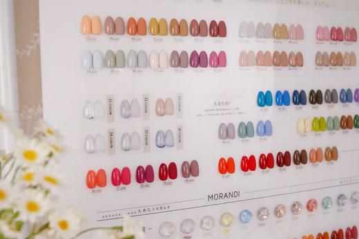 【秒杀价】兮可可158色 商品图0