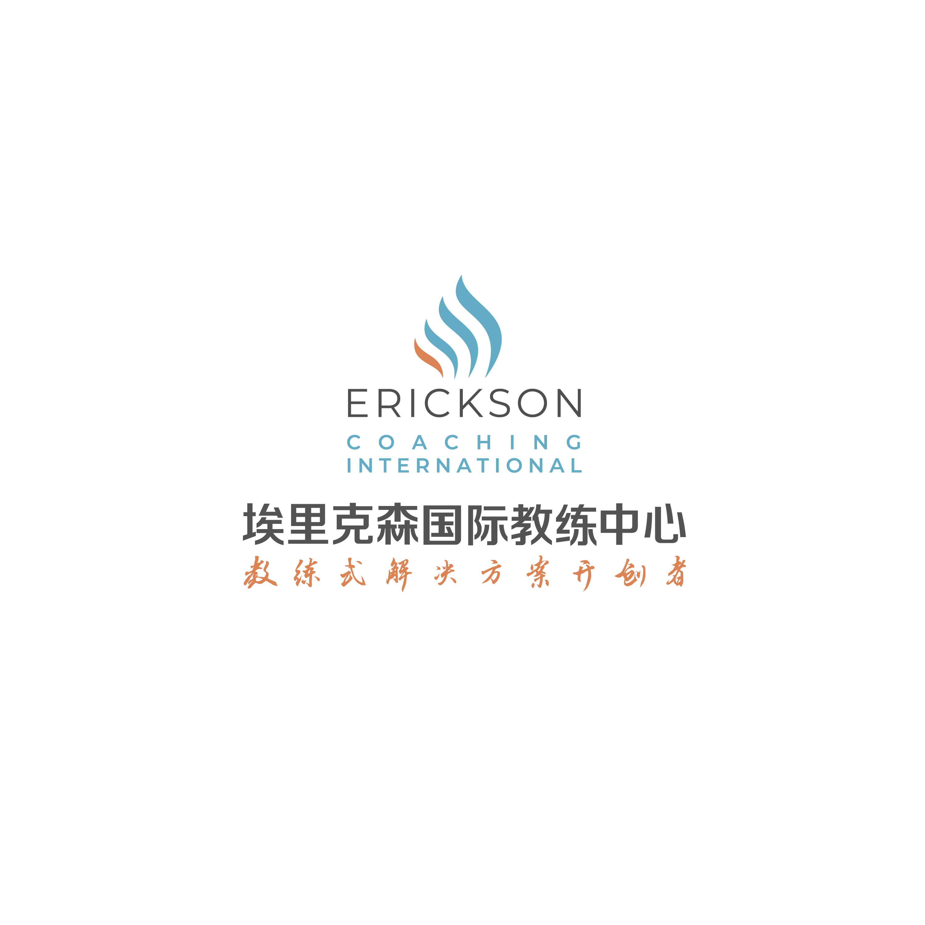 线上2025年丨 Level 1 辅导包