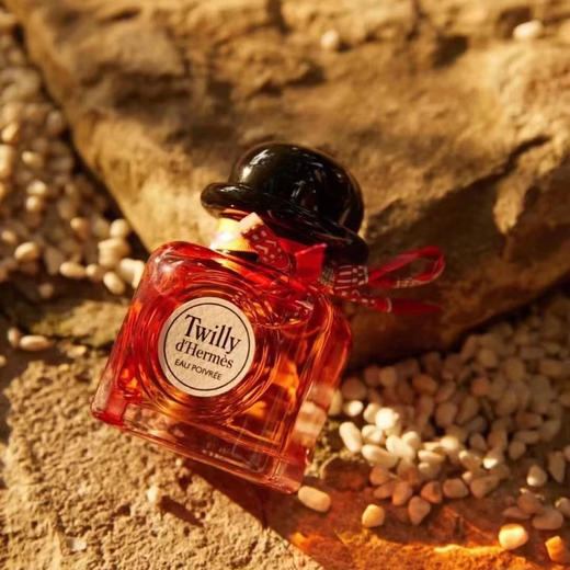 爱马仕twilly丝巾椒香12.5大中样带喷头 商品图1