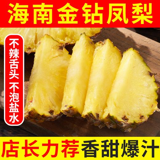 【产地直发包邮】听甜—海南金钻凤梨（树上熟） 商品图1