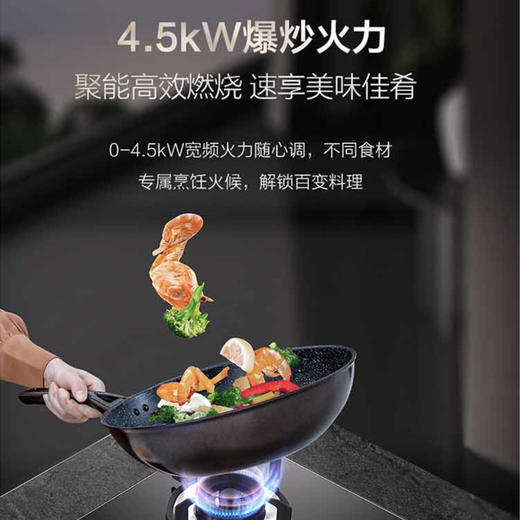 卡萨帝（Casarte）灶具 JZT-G2KG6B3(12T) 商品图3