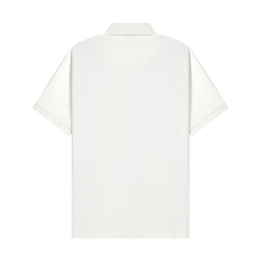 HX 夏季翻领短袖T恤S102320291101/02POLO杉 商品图5
