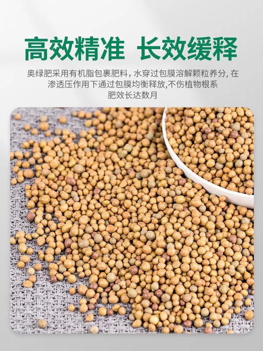 【进口奥绿肥 】缓释肥料 开花型 商品图4