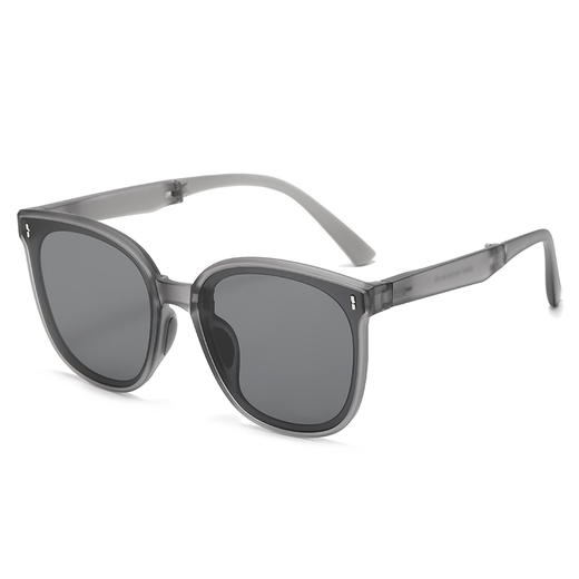 骊佳高清太阳镜时尚折叠墨镜男女驾驶镜82051 商品图2