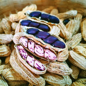 🥜云南“土著”老品种花生 · 七彩花生 · 黑花生/218g/袋（生/熟花生）