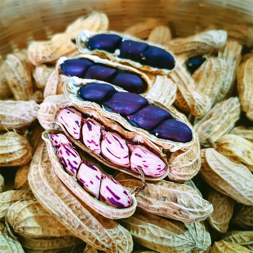 🥜云南“土著”老品种花生 · 七彩花生 · 黑花生/218g/袋（生/熟花生） 商品图0