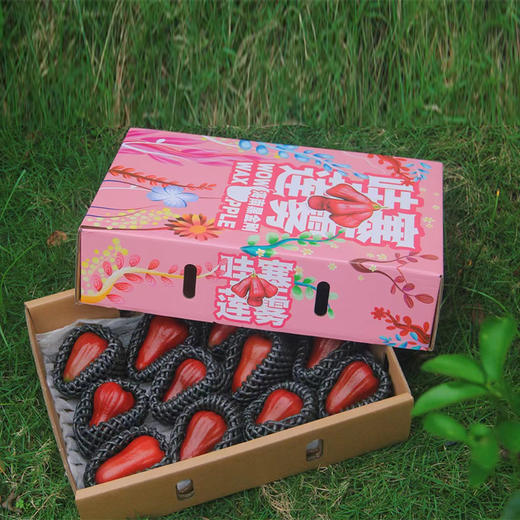 【海南广东专拍】海南黑金刚莲雾精品3斤礼盒 清香清甜 产地直发 商品图5