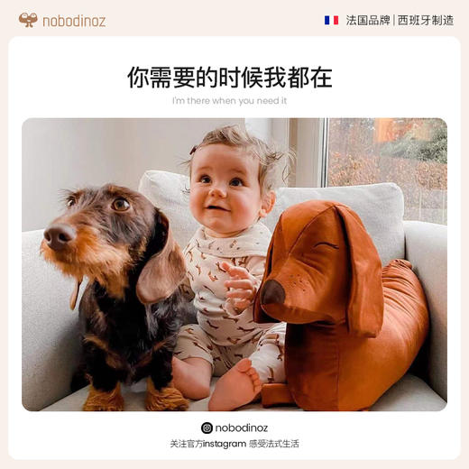 法国 Nobodinoz 比利狗靠垫 55X30 棕褐色 N921253 商品图3