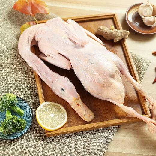 怀化安江小黄鸭农家自养2000G左右新鲜宰杀（同城包邮） 商品图3