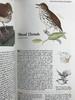 北美鸟类图鉴 数百幅彩色插图 精装16开 商品缩略图11