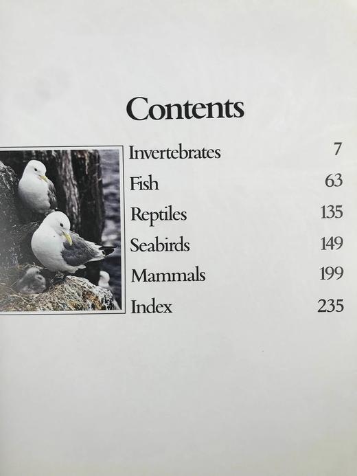 海洋生物图解百科全书 数百幅插图 精装大16开 商品图5