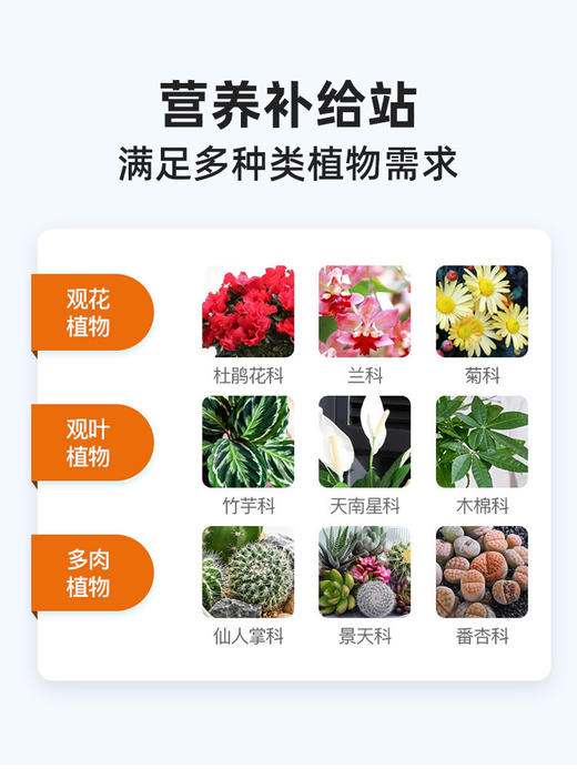 【进口 花多多】1号2号 商品图4