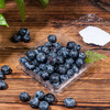 踏沙寻莓 · 新疆喀什蓝莓 当季鲜果 商品缩略图1