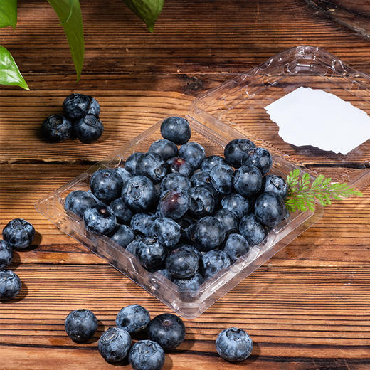 踏沙寻莓 · 新疆喀什蓝莓 当季鲜果 商品图1