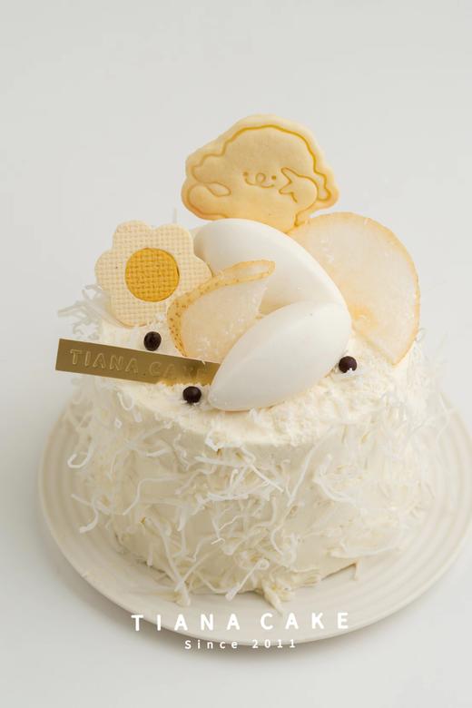 四寸椰子天堂 商品图0