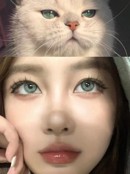 正品日抛 | Bollycon系列莱琳青灰美瞳 | 直径14.2着色直径13.3 | 韩国产3 商品图0