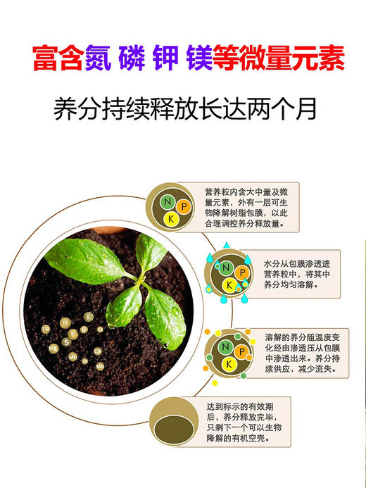 【进口奥绿肥 】缓释肥料 开花型 商品图7