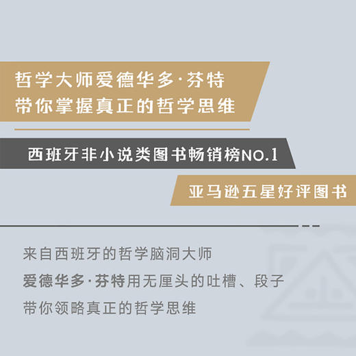 街头哲学 人间清醒的底层逻辑与顶层认知 商品图4