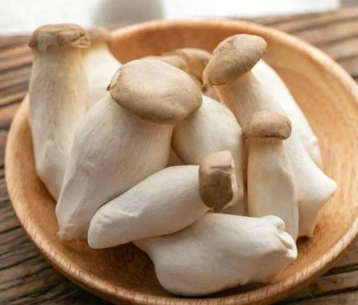 杏鲍菇 500g 商品图0