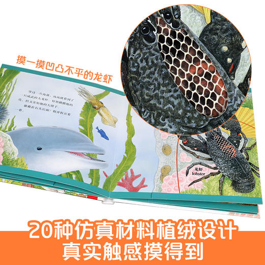 动物朋友翻翻触摸书（4册） 原价：328元 商品图2