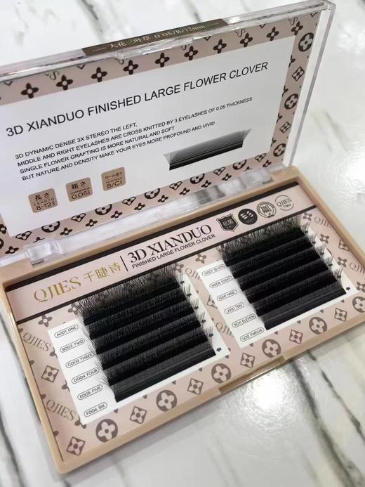 【秒杀价】大花三叶草 商品图3