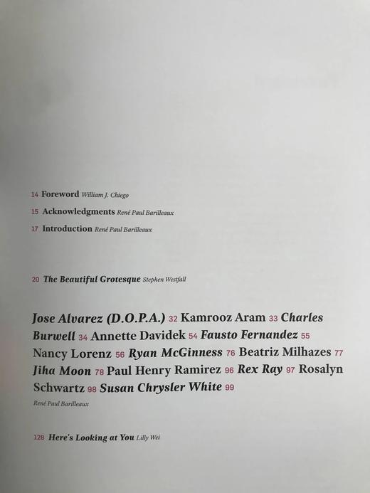 美丽的统治：近期绘画中的巴洛克情感 近百幅插图 精装大16开 商品图5