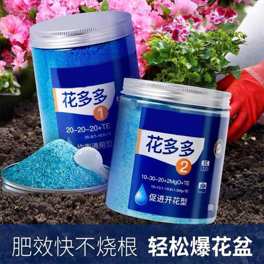 【进口 花多多】1号2号 商品图3