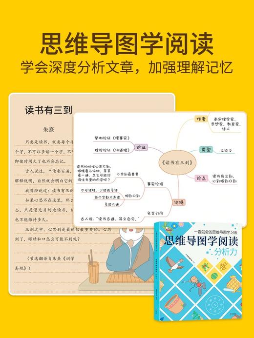 思维导图学科版 全4册 塑封 商品图4