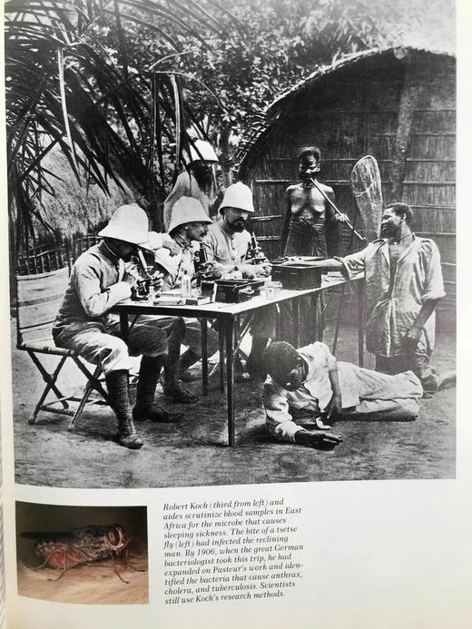 改变世界的发明家与发现家 356幅插图 精装16开 商品图5