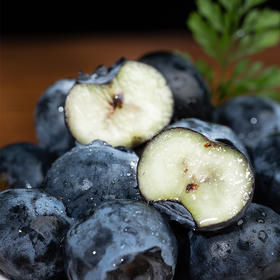 踏沙寻莓 · 新疆喀什蓝莓 当季鲜果