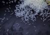 【秀合】生态留胚米2.5kg 商品缩略图1