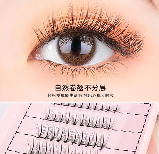 【放大双眼】自然鱼尾假睫毛[玛莉安] 商品图0