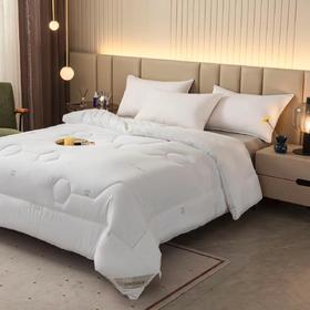 【春上新】10楼 恐龙 康帕斯银离子抗菌防螨被第二代 吊牌价1880-2380元 活动价299-499元