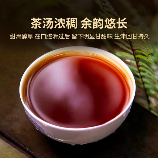2016年越来越好一片熟茶（400克/片） 商品图5