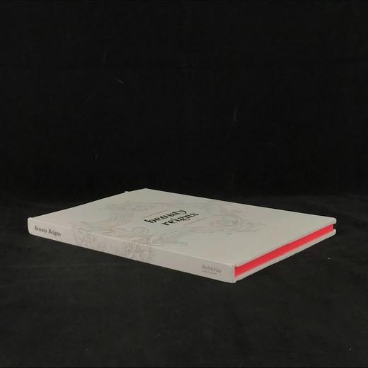 美丽的统治：近期绘画中的巴洛克情感 近百幅插图 精装大16开 商品图1