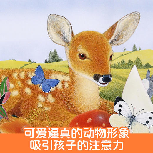 动物朋友翻翻触摸书（4册） 原价：328元 商品图4
