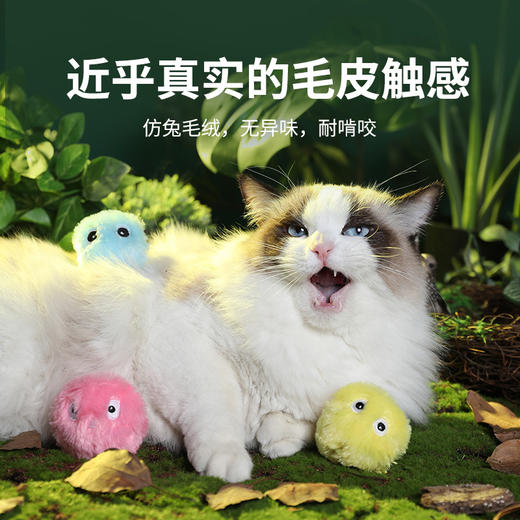 【宠物用品】宠物猫咪引力叫叫球猫薄荷发声磨牙耐咬自嗨解闷逗猫玩具球 商品图2