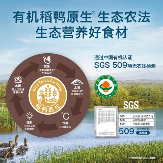 禾泱泱婴幼儿有机稻鸭原生泡芙条 32g 商品图2