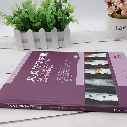 犬关节学图谱 商品图2