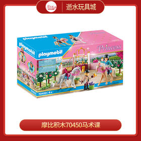 摩比积木70450马术课