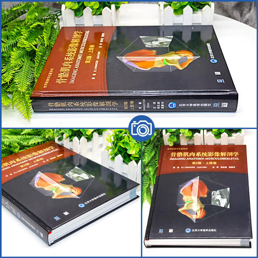 骨骼肌肉系统影像解剖学 第2版 上肢卷 徐文坚 袁慧书主译 世界影像学名著系列 MR解剖图谱 北京大学医学出版社9787565928000 商品图2